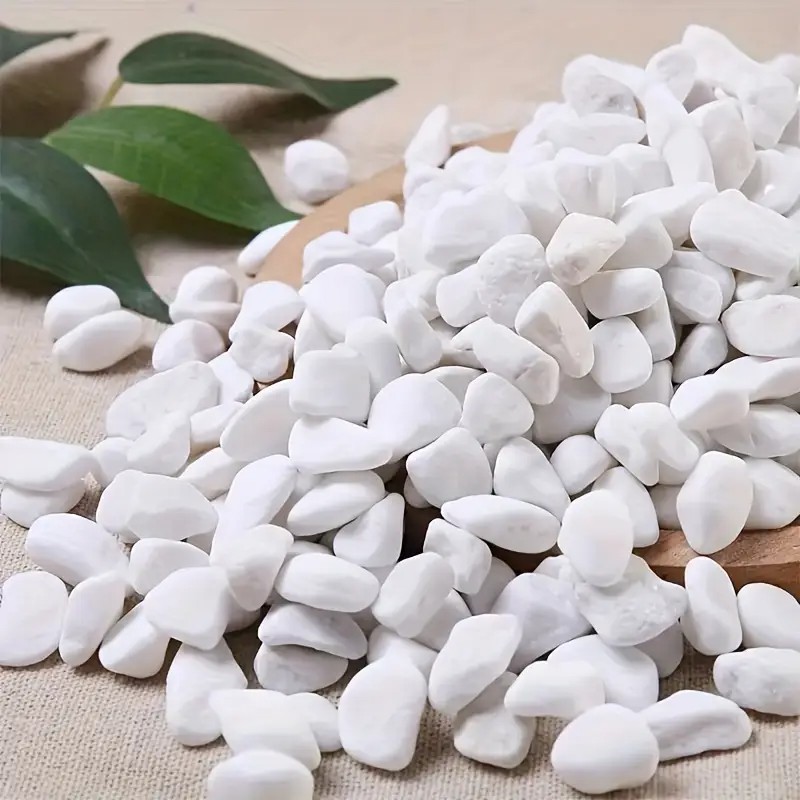 1L High-Quality Perlite Succul - đánh giá và giá Pet Beds