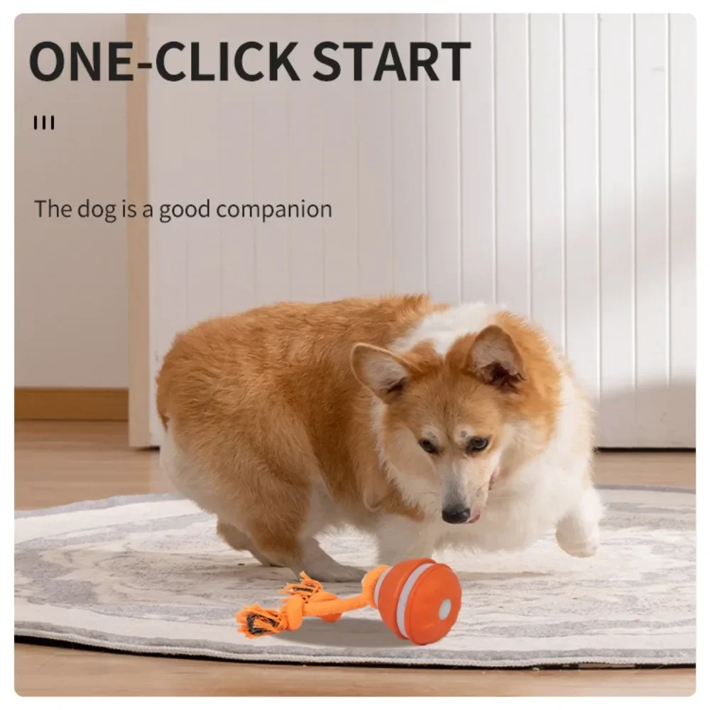 Pet Ball for Dogs Interactive  - đánh giá và giá Automatic Moving Dog Ball