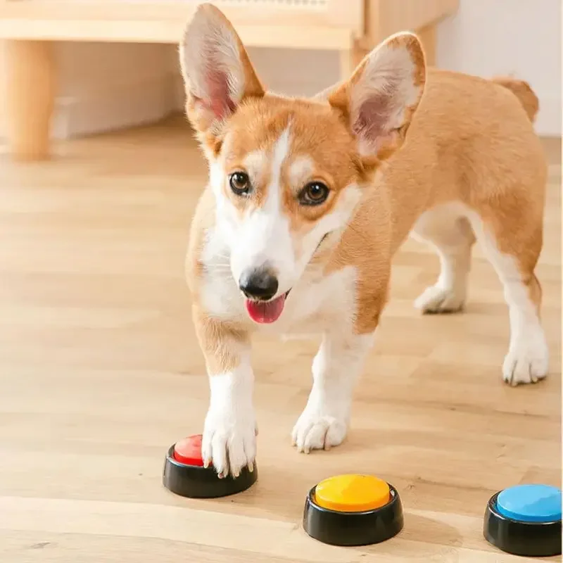 2026 Recordable Talking Pet Bu - đánh giá và giá Interactive Squeaky Plush Dog Toy