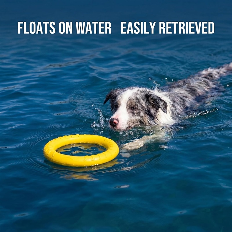 Đồ chơi cho chó: Đĩa bay, vòng - đánh giá và giá Flying Disc Dog Training Toy
