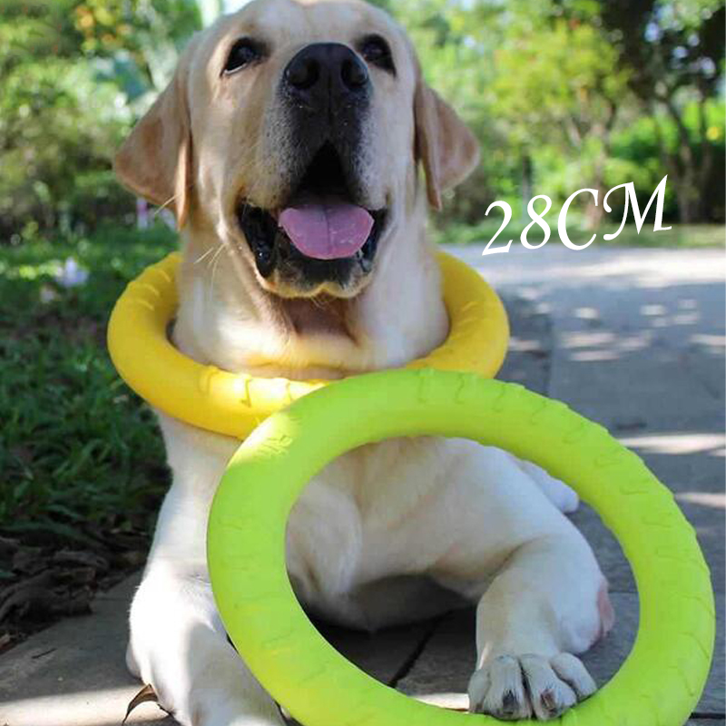 Đồ chơi cho chó: Đĩa bay, vòng - đánh giá và giá Flying Disc Dog Training Toy