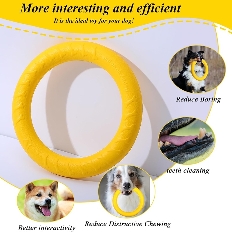 Đồ chơi cho chó: Đĩa bay, vòng - đánh giá và giá Flying Disc Dog Training Toy
