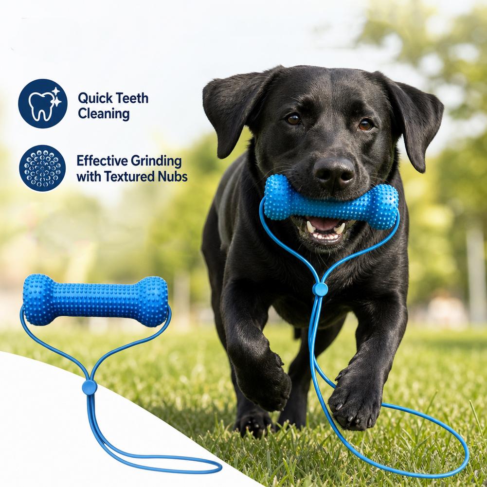 Pet Dental Care Chewing Toy 2i - đánh giá và giá Teeth Cleaning Dog Chew Bone