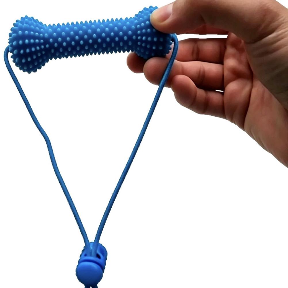 Pet Dental Care Chewing Toy 2i - đánh giá và giá Teeth Cleaning Dog Chew Bone