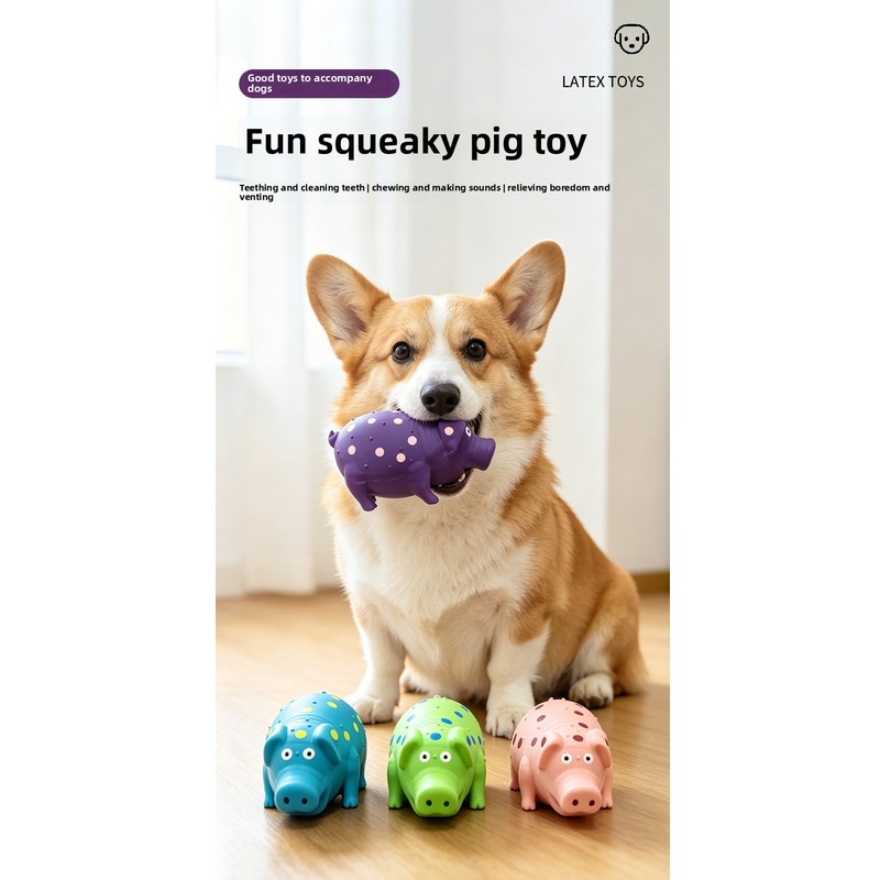 Waterproof Dog Frisbee Toy Sil - đánh giá và giá Flying Disc Dog Training Toy