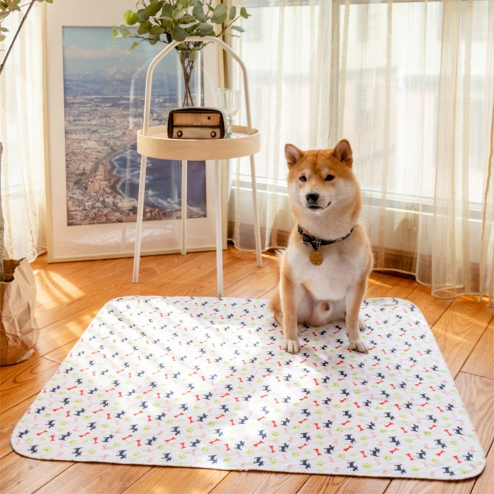 Super Absorbent Pet Bed Mat Re - đánh giá và giá Pet Beds