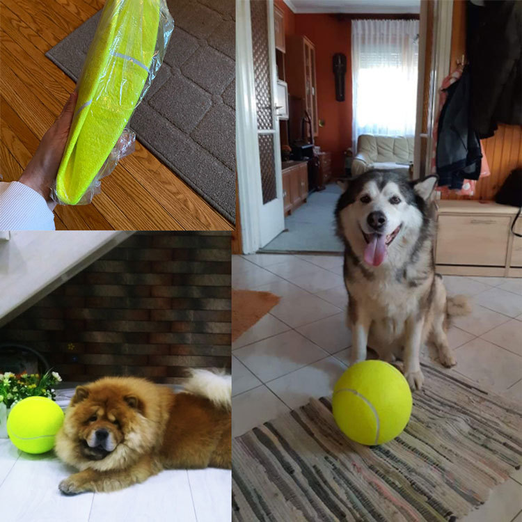 7/8/9.5Inch Dog Tennis Ball Gi - đánh giá và giá Interactive Squeaky Plush Dog Toy